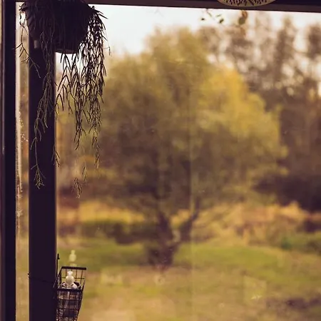 Hotel Riverbed Oeoed Mirror House And Iglucraft Sauna By River Kanakula